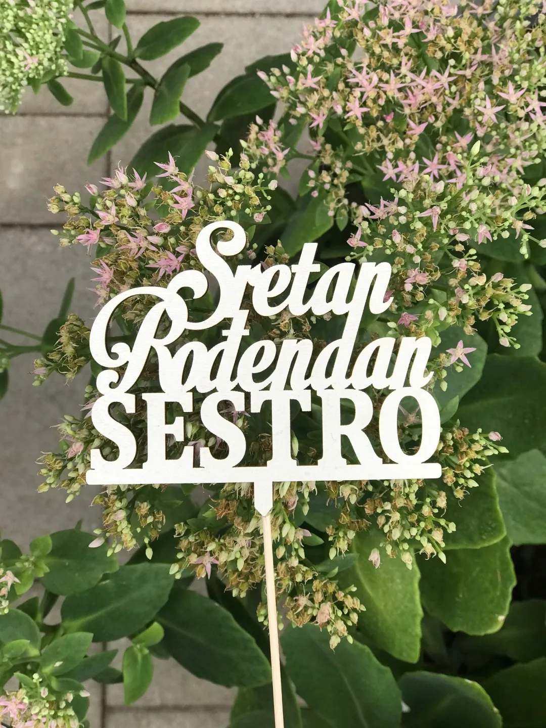 Toper sretan rođendan za sestru